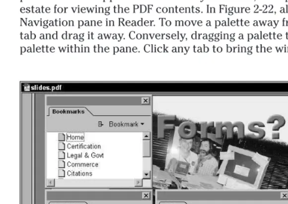 Figure 2-22: All of the tabs are removed from the Navigation pane and Window menu and relocated in the Reader window.