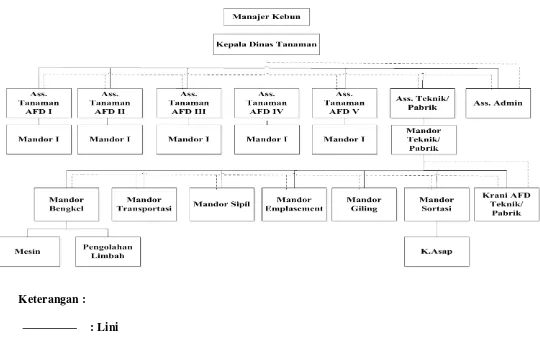 Gambar 2.2. Struktur Organisasi PT. Perkebunan Nusantara II Batang Serangan