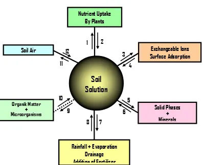 Gambar 1.  Mekanisme hubungan kesetimbangan tanah dengan lingkungan (Linsay 1979) 