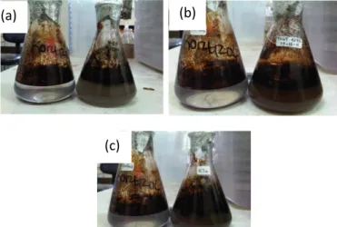 Gambar 3.  Hasil seleksi bakteri pendegradasi hidrokarbon  selama dua minggu 