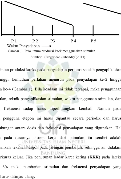 Gambar 1.  Pola umum produksi latek menggunakan stimulan  Sumber : Siregar dan Suhendry (2013) 