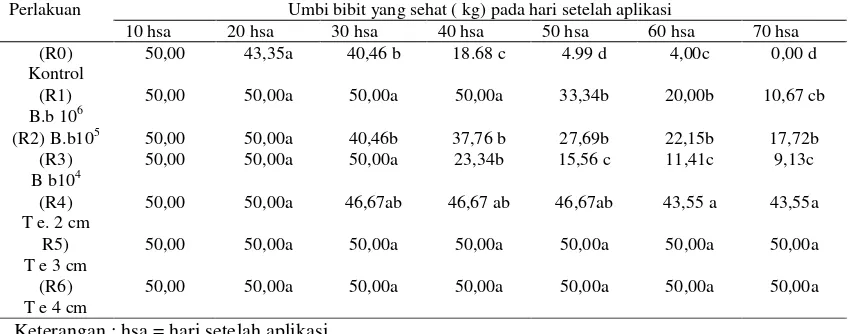 Grafik 1. Persentase serangan P. operkulella akibat perbedaan perlakuan pengendalian 