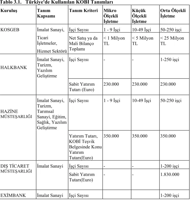 Tablo 3.1.   Türkiye'de Kullanlan KOB Tanmlar 