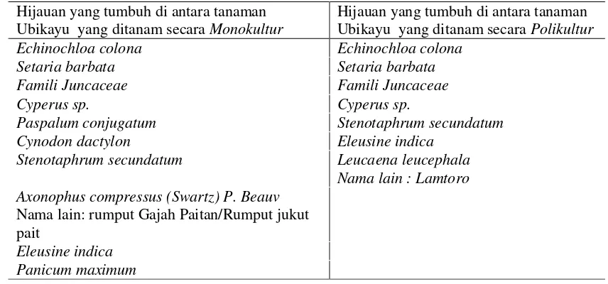 Tabel 1. Identifikasi Jenis Hijauan Pakan  