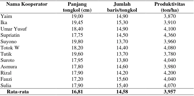 Tabel 3.  Keragaan panjang tongkol, jumlah baris/tongkol dan produktivitas jagung di Kampung Wiraska, Distrik Wanggar Kabupaten Nabire, 2013 