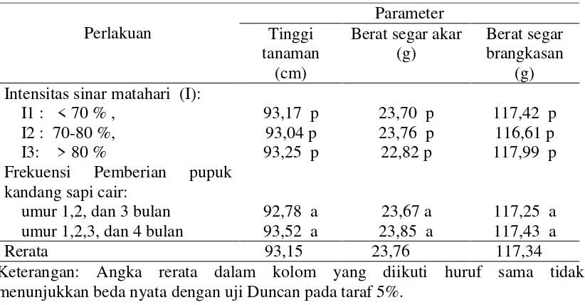 Tabel 1. Rerata tinggi tanaman, berat segar akar dan berat segar brangkasan              nilam per tanaman pada umur 5 bulan  