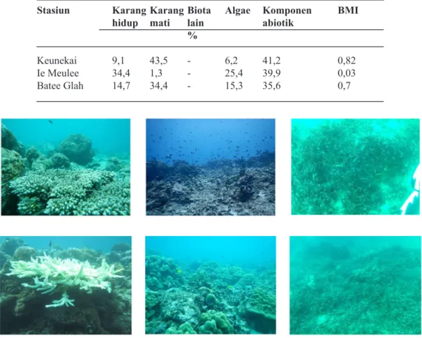 Gambar 7 menunjukkan kondisi terumbu karang  terkini di tiga lokasi pengamatan. Diwilayah Batee  Glah didominasi oleh karang massive dan branching,  ditemukan gejala pemutihan karang dan karang mati,  wilayah ini merupakan daerah difraksi gelombang  sehing