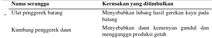 Tabel 2. Jenis-jenis serangga yang menyerang pohon kemenyan toba (S. 