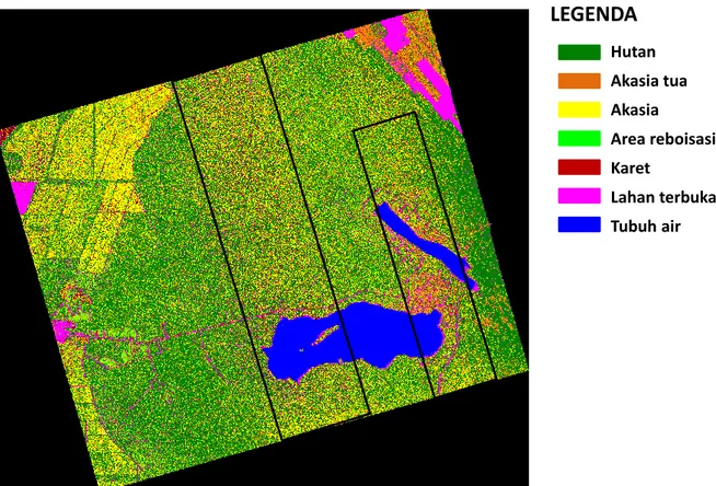 Gambar 3-1: Hasil  klasifikasi  penutup  lahan  berbasis  piksel  dengan  MLEN  untuk  data  PiSAR-L2 resolusi spasial 2.5 meter 