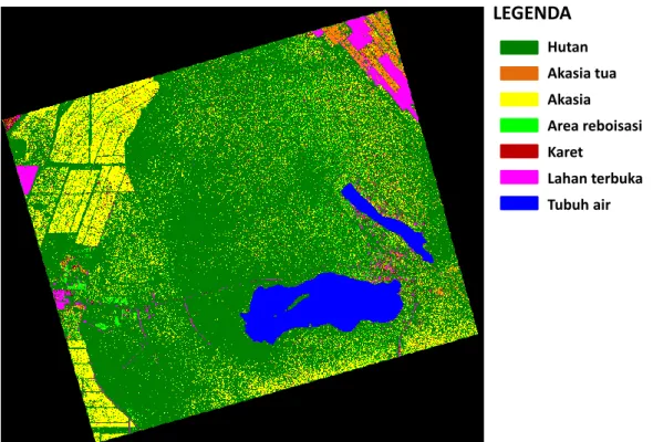 Gambar 3-2: Hasil  klasifikasi  penutup  lahan  berbasis  piksel  dengan  MLEN  untuk  data  PiSAR-L2  resolusi spasial 10 meter 