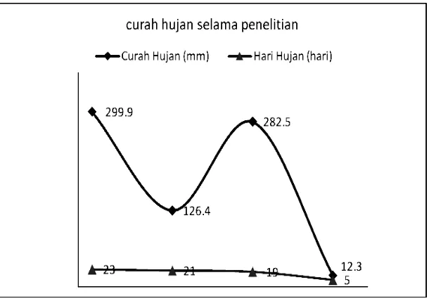 Gambar 3.  Grafik curah hujan selama penelitian berlangsung. 