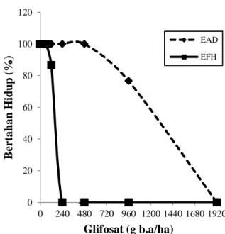 Tabel  1  menunjukkan  bahwa  persentase  gulma  Eleusine  indica  EAD  yang  bertahan  hidup  terbesar  diperoleh  pada  perlakuan  kontrol  (tanpa  pemberian  glifosat)  sampai  dengan  dosis  480  g  b.a/ha  yaitu  100  %  yang  menunjukkan  berbeda  tidak  nyata,  terkecil  pada  dosis  1920  g  b.a/ha  yaitu  0  %  yang  berbeda nyata dengan dosis lainnya 
