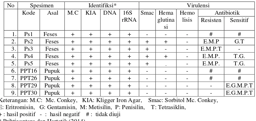 Tabel 1. Identifikasi isolat Escherichia colisorbitol mecconkey asal sapi potong dan katakterisasi terhadap  (smac), kemampuan hemaglutinasi, produksi hemilisis, dan resistensi antibiotik  
