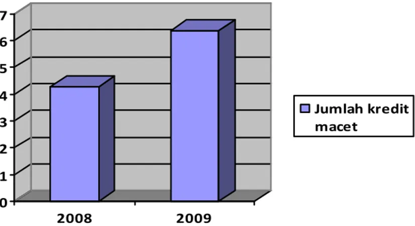 Gambar 1 Grafik Debitur Tahun 2008 dan 2009 