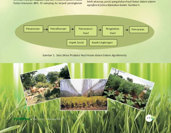 Gambar 1. Satu Siklus Produksi Hasil Hutan dalam Sistem Agroforestry