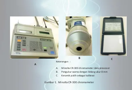 Gambar 1. Minolta CR-300 chromameter