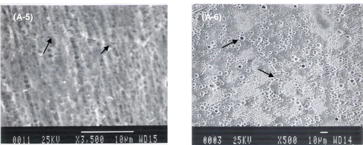 Gambar  8. Mikrograf SS 316 hasil uji korosi. Normalizing suhu 550  o C (B-1), normalizing suhu 650 
