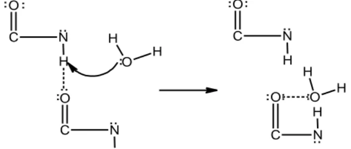 Gambar 1. Reaksi Pemutusan Ikatan Hidrogen Tropokolagen (Martianingsih dan Atmaja, 2009) 