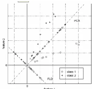 Gambar 2 Perbandingan metode PCA dan  LDA (Belhumeur et al, 1997) 