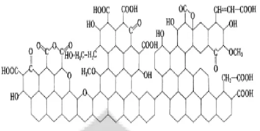 Gambar  2.7  Struktur Kimia Karbon Aktif  Sumber: Sudibandriyo, 2003 dalam pujiyanto 2010 