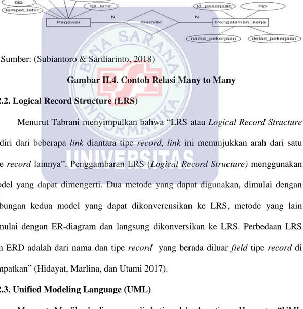 Gambar II.4. Contoh Relasi Many to Many  2.2.2. Logical Record Structure (LRS) 