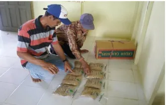 Tabel 11. Tanggapan petani terhadap masalah utama usahatani padi varietas Inpara dan Margasari di lahan pasang surut Kabupaten Batola, 2014 