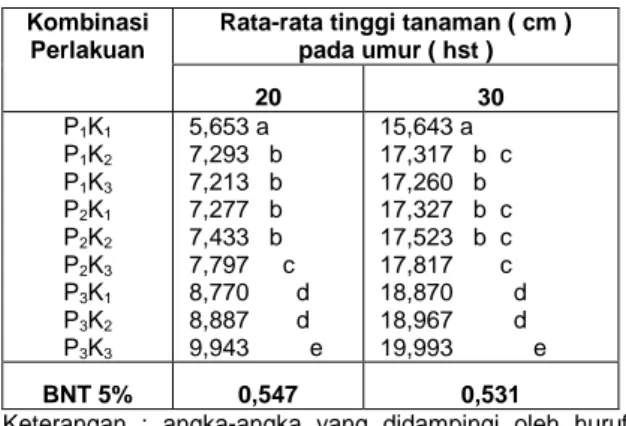 Tabel 3. Rata-rata tinggi tanaman ( cm ) akibat kombinasi  perlakuan pupuk SP 36 dan pupuk kandang  sapi umur 20 dan 30 hari setelah tanam