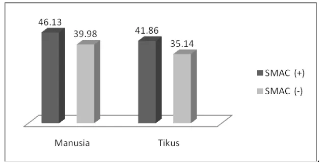 Grafik 2. Rerata  Jumlah Bakteri E.coli dengan Hemaglutinin (+) dan Hemaglutinin (-) yang Melekat pada Sel Epitel Bukalis Manusia dan Tikus 