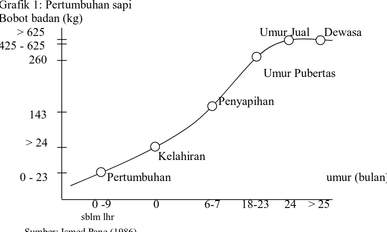 Grafik 1: Pertumbuhan sapi   Bobot badan (kg) 