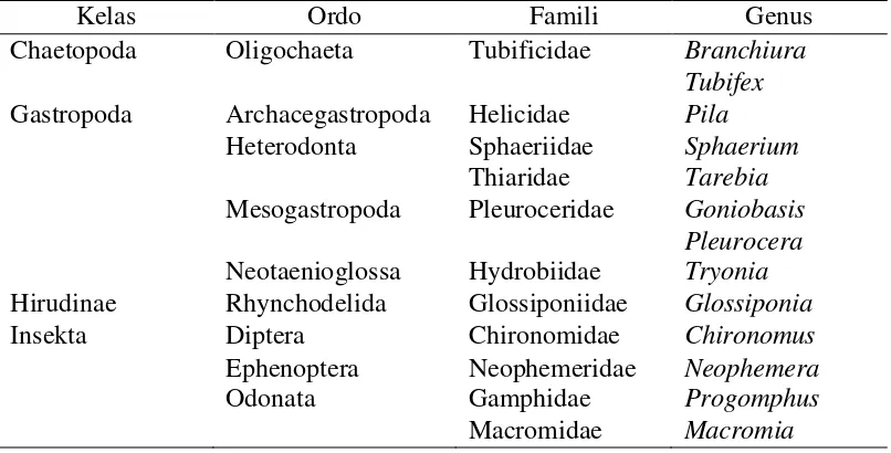 Tabel 2. Klasifikasi Makrozoobentos yang Didapatkan pada Setiap Stasiun  Penelitian di Sungai Batang Gadis Sumatera Utara 