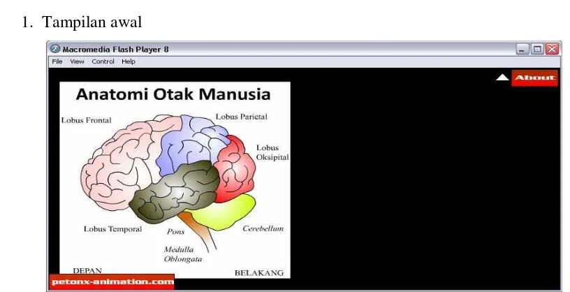 gambar ilustrasi dari otak manusia beserta nama bagian-bagiannya. Apabila kita click 