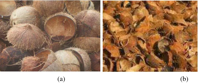 Gambar 4.1. (a) Tempurung Kelapa, (b) Tempurung kelapa yang sudah bersih. 
