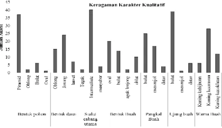 Gambar 1.  Histogram karakter kuantitatif pada 46 aksesi pala populasi Tidore, Ternate, dan Bogor