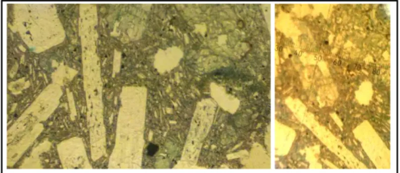 Gambar 7. Lava Barujaksi di bawah mikroskop. 