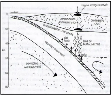 Gambar 14. Ploting SiO 2  terhadap anortit dalam Lava Ciremai. 