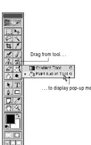 Figure 2-4: Drag from any tool icon with a triangle to display a pop-up menu of alternate tools.