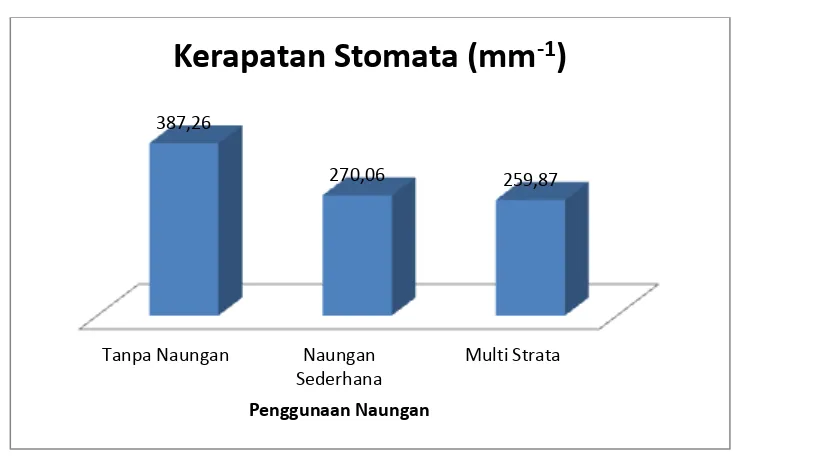 Gambar 2. Rata-rata kerapatan stomata daun kopi dengan berbagai tingkat naungan pada    sistem agroforestri kopi