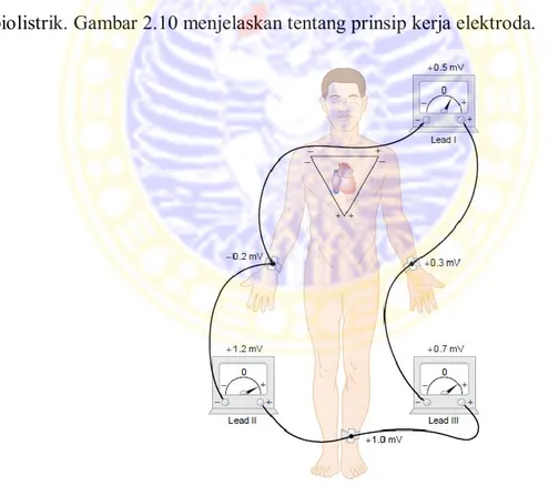 Gambar 2.10 Prinsip Kerja Elektroda (Guyton, 2006) 