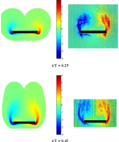 Gambar 3-2: Perbandingan  medan  vortisitas  antara  hasil  metode  vorteks  (kiri)  dengan  eksperimen  (kanan) pada fase percepatan 