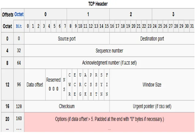 Gambar 2.2 TCP Segmen 