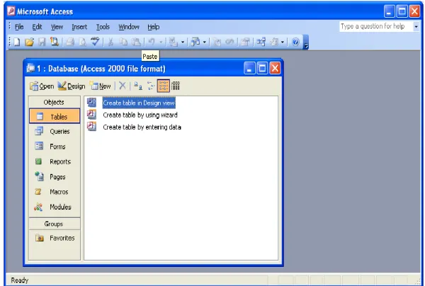 Gambar 2.4. Tampilan Microsoft Office Access 2003 