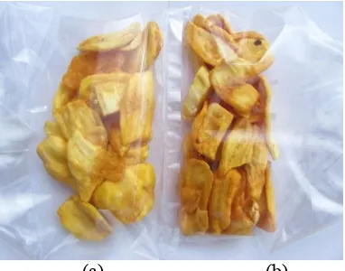 Gambar 7. Bentuk dan ketebalan buah nangka (a) dari Semarang dan dari Malang 