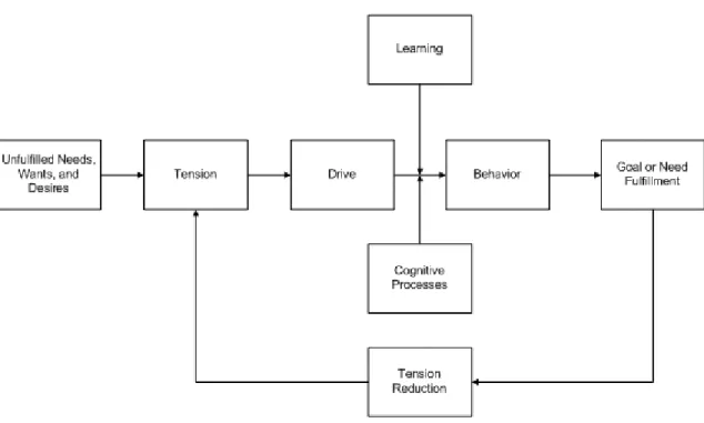 Gambar 2.3.  Model of Motivation Process Schiffman (2004, p88) 