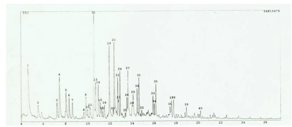 Gambar 3. Kromatogram Produk Cair Pirolisis dengan menggunakan Katalis Ni/Zeolit  Pada Temperatur 600 0 C 