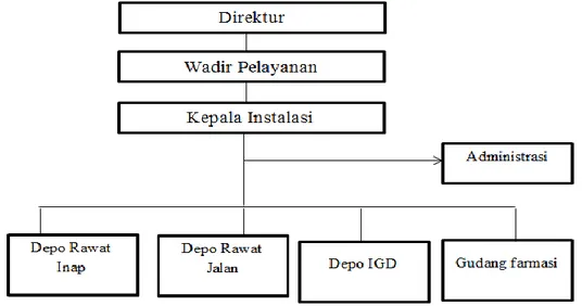 Gambar 2.2 Struktur organisasi instalasi farmasi RSUD Langsa