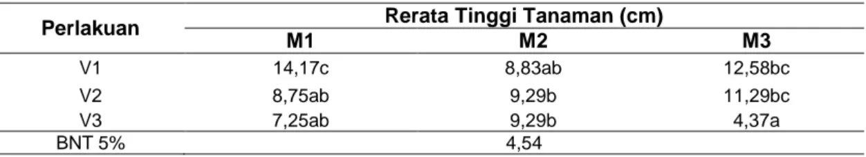 Tabel  1  Rerata  Tinggi  Tanaman  (cm  tan -1 )  akibat  Interaksi  antara  Perlakuan  Komposisi  Media  Tanam dan Varietas pada Umur Pengamatan 70 hst 