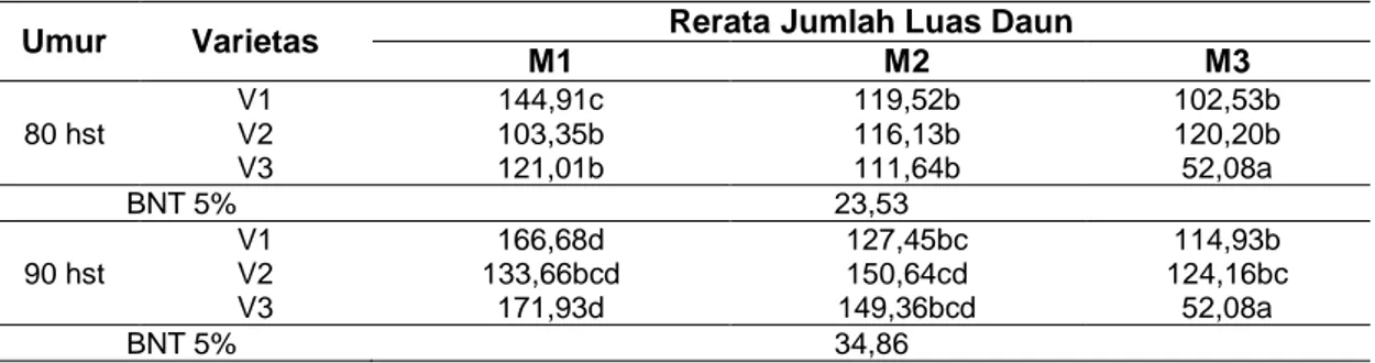 Tabel  4  Rerata  Luas  Daun  (cm 2  per  tananam)  akibat  Interaksi  Komposisi  Media  Tanam  dan  Varietas pada Umur Pengamatan 80 dan 90 hst 