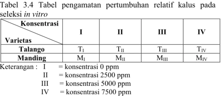 Tabel  3.4  Tabel  pengamatan  pertumbuhan  relatif  kalus  pada  seleksi in vitro  Konsentrasi  Varietas  I  II  III  IV  Talango  T I T II T III T IV Manding  M I M II M III M IV Keterangan :   I       = konsentrasi 0 ppm             II      = konsentras