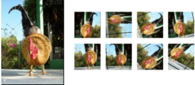 Gambar 5. Augmentasi dengan perputaran gambar maksimal sebesar 90 ◦ .
