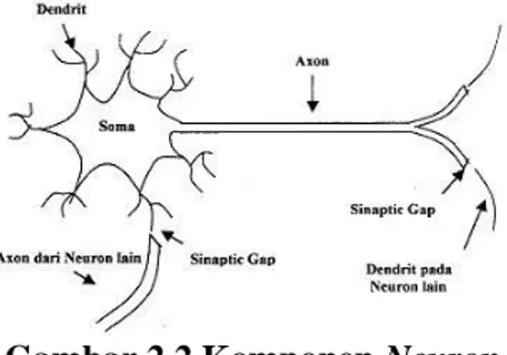 Gambar 2.3 Struktur Neuron Jaringan Syaraf  Tiruan 